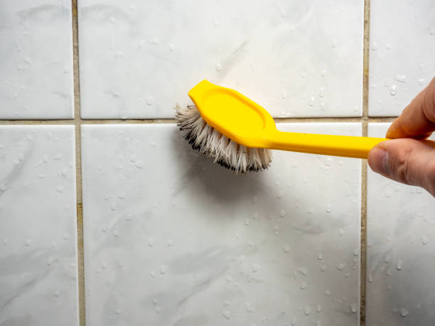 Trusted Bluefield, WV Mold Remediation Experts