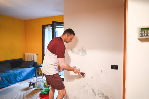 Best Black Mold Remediation in Bluefield, WV